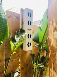 62593656_2517439948275114_7428680786414403584_n