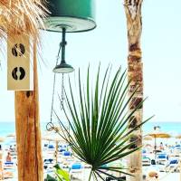 68675908_2414238085523955_1519773846977118208_n